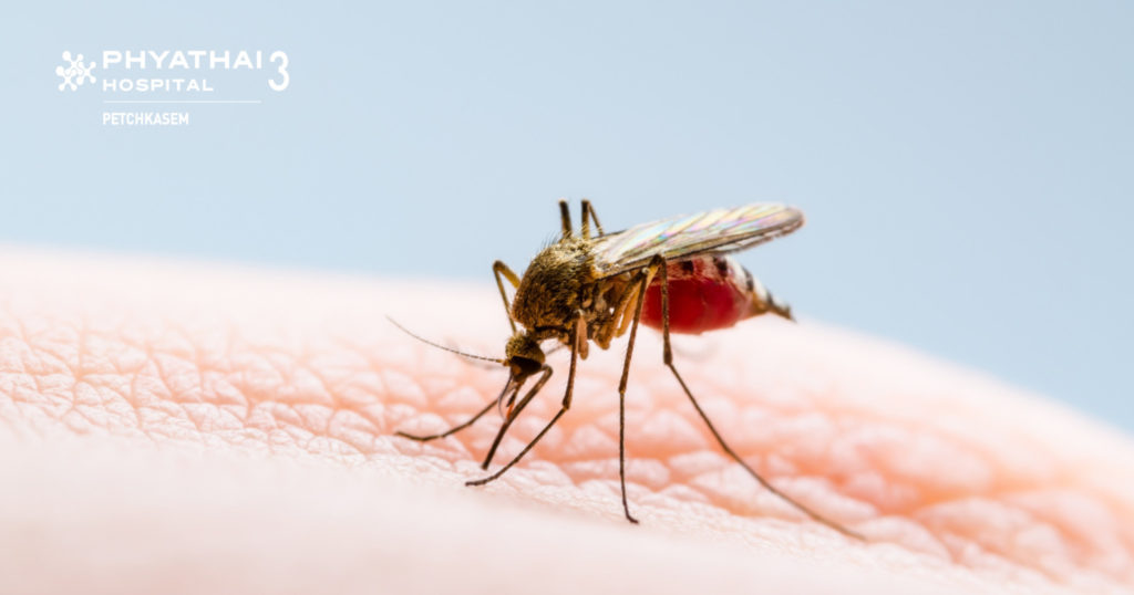 Dengue fever cases spike in Thailand