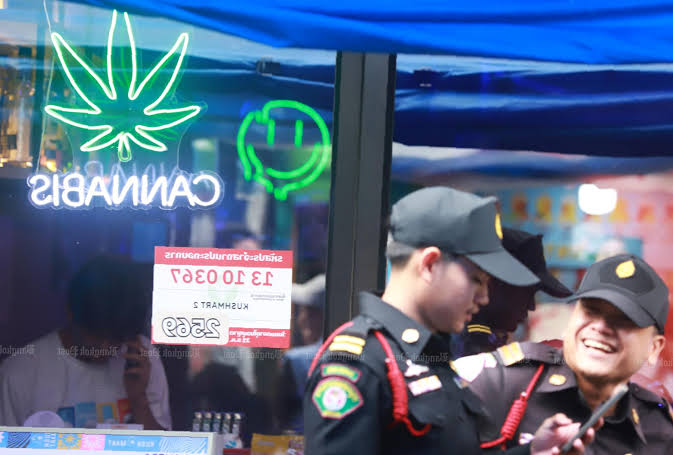 Thailand brings cannabis back into the medical sphere
